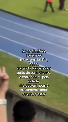 vamo que vamo meu mengão #foryoupage #explorer #finallibertadores #flamengo #viralreels 