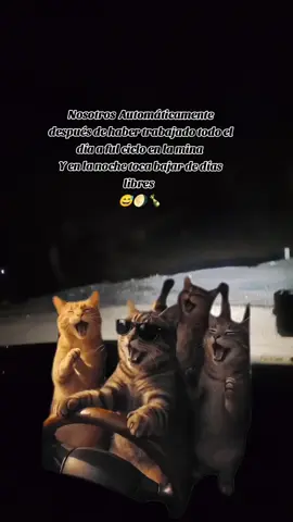 Y la noche se pone larga 😂😂#CapCut  #cuerposolteroporquenodescansas😪😪😪 #fvpシ #rutas4x4 #peru 