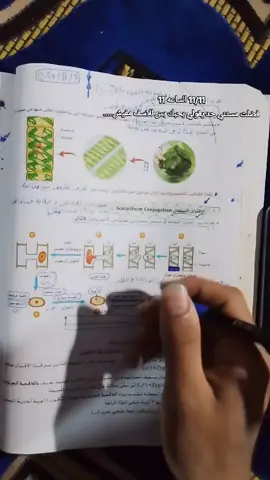 #11  11/11 مفيش بنت هتقولي بحبك