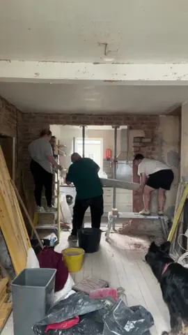 By far the funniest video I have from our Reno so far…. Zach and I fighting for our lives to get the beam up and my dad casually holding it on his shoulder then practically lifting it by himself🤣  #renovation #renoseries #DIY 