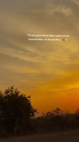 söz bırak..🍂 #storylikvideolar📌 #fyp #keşfetbeniöneçıkart #tiktokkeşfet #keşfet 