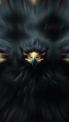 #CapCut #تصميم_فيديوهات🎶🎤🎬 #لايك__explore___ #ابني_نور_عيوني 