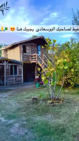 #بوسعادة #اولاد_نايل_لاحرار #بوسعادة_المسيلة__الجلفة_الاغواط #الجزائر🇩🇿 #algerie 