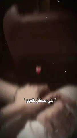 #🤍🤍🤍🤍🤍🤍🤍🤍  