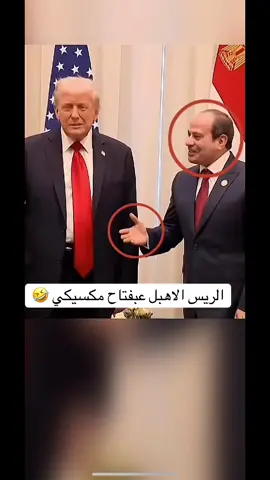 #مصر🇪🇬 #مصر_السعوديه_العراق_فلسطين 