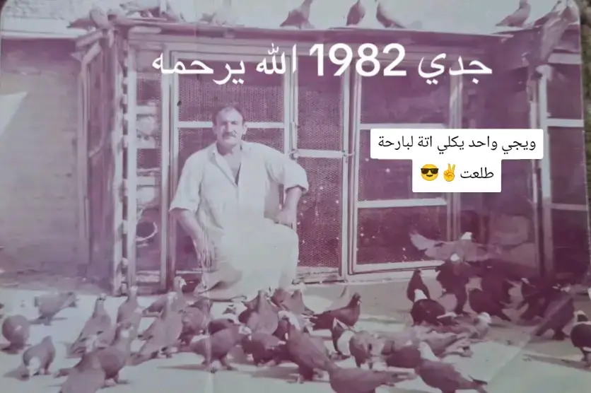 ✌😎#طيور #تور #مطيار_حمام_التار_في_بغداد 