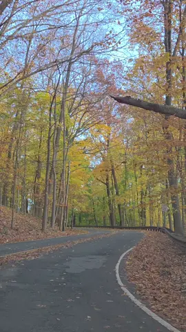 Vive La Vida #bailesenusa #bailesvideos #bailesenelgabacho #bailesenestadosunidos 