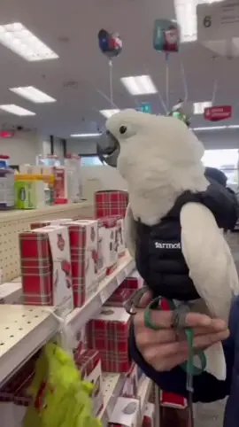 #cutebaby  #foryoupage  #viralvideo❤️❤️❤️ 