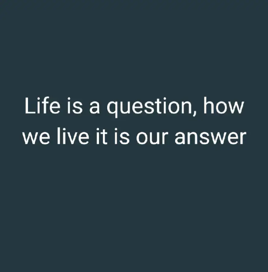 #fyppppppppppppppppppppppp 