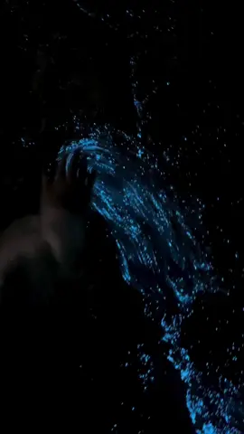 🌌🌌🌌🌌🌌🌌🌌🌌🌌🌌🌌🌌🌌🌌💙💙💙💙💙💙حبيتتتتت💙💙💙#مالي_خلق_احط_هاشتاقات🧢 