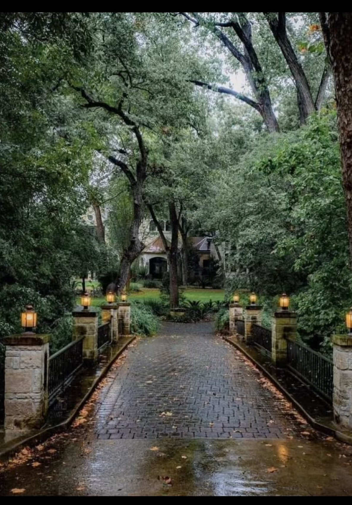 #fyp #moodboard #pinterest #hermes 