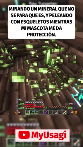Acompáñame en esta divertida aventura mientras exploramos y recolectamos recursos en Minecraft. ¡No te pierdas el momento en que me caigo y sigo buscando tesoros!#Minecraft #Gaming #Looting #Aventura #Usagi