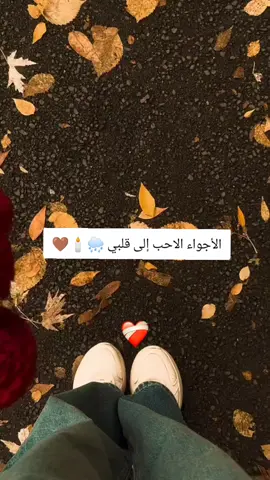 🤎🕯️🥺🌧️#hadjia_10_3♥️ ممكن اكسبلور 🥀#تحياتي_لجميع_المشاهدين_والمتابعين❤ #لقطة_فائقة_الثبات 