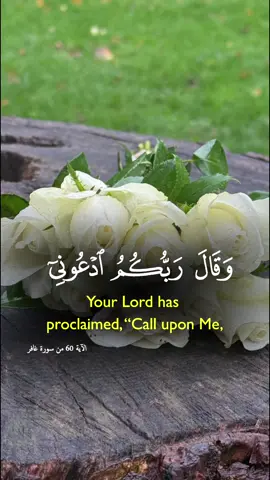 #CapCut #Islamic_video #fyp #Allah #Quran 