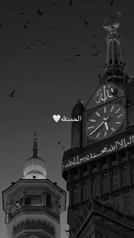 الحمدلله🤍#ئه_كتيڤ_بن #aynor_n9 #🤍 