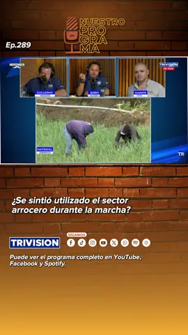 TT06 ¿Se sintió utilizado el sector arrocero duran