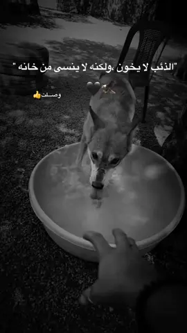 #fyp #اكسبلور #لايك 