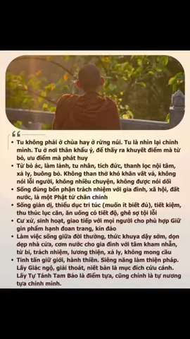 Tu đâu chỉ ở bên ngoài Tu đâu phải để cho người ta xem Mà khi nhìn lại chính mình Thấy sai mà sửa thì gọi là tu. Tu là ý thức rõ ràng Những điều sai trái đã làm khi xưa Sám hối quyết bỏ dứt chừa Không còn tái phạm mới là thiệt tu. Tu là còn biết mình ngu Nên tập khiêm tốn buông thư nhẹ nhàng Học cách nhìn lại chính mình Lắng nghe tâm thức diệt sinh vô thường. Tu là không được nói suông Phải hành thực tế phải thương cuộc đời Sống thật với tất cả người Thật với hiện tại mỉm cười từ bi. Tu là thấy được sân si Thấy tham mà bỏ xã ly bụi trần  Thấy được tập khí lậu phần Chánh niệm tỉnh giác đoạn dần nhiễm ô. Tu là thấy được bể khổ Tất cả phiền não đều có nguyên nhân Nên phải chánh niệm tinh tấn Đoạn trừ lậu hoặc,đoạn tận khổ đau. Tu là thức tỉnh quay đầu Nhìn lại quá khứ u sầu đã qua Chiêm nghiệm cuộc sống ta bà Luân hồi sinh tử để mà thoát ly. Thoát ly cần phải tuệ tri Nên phải thiền định viễn ly cảnh trần Thu thúc hết cả thân tâm Phát huy chánh đạo,chánh cần, ngũ căn. Phát triển thất bồ đề phần Hành theo niệm xứ nơi thân tâm này Chỉ có thực hành như vậy May ra mới thấy đổi thay vô thường. Mới thấy chánh đạo tỏ tường Con đường đạo quả mới ươm nảy mầm Mới hiện thánh mà bớt phàm Là bậc giác ngộ vô sanh giữa đời. Nên tu khó lắm người người Đâu phải chuyện dễ như lời nói suông Tu là chẳng vui chẳng buồn Chỉ cần giải thoát ta buông dễ dàng. Nếu tu mà dễ như than Thì đâu còn phải làm càng làm điên Đâu còn lãi nhãi luyên thuyên Để người trí quở cho phiền mình ra. Thế nên tu cũng khó nha Nên phải cẩn thận để mà tiến lên Từng bước chậm chắc mà đến Còn hơn nóng vội tưởng mình thánh nhân. Namo Buddhāya,  Namo Dhammāya, Namo Saṅghāya.