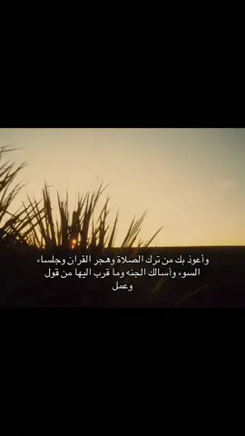 #explore #flypシ #Q 