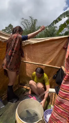 mandi pagi bareng janda dan gadis desa