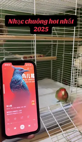 Nhạc chuông hot nhất 2025 #nhacchuong #nhacchimhot #tainhacchuong #nhacchuonghotnhat2025 #music