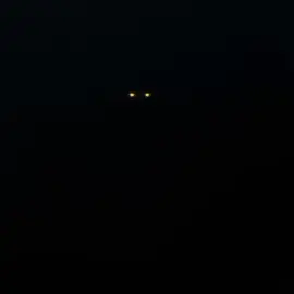 SE CONTINUARMOS ALGUMA COISA RUIM VAI ACONTECER - 