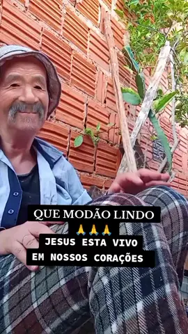 MODÃO SERTANEJO . . . . . . . . . . . . . . . . . . . . . . . . . #musicaantiga #modaosertanejo 