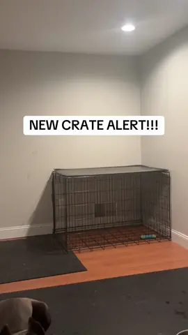 Thank you Impact Crates for sending Nova this collapsible dog crate. After my last video I figured it’s time for an upgrade and Impact Crates Delivered!  USE THIS LINK BELOW FOR 25% OFF: https://snwbl.io/out/1kevG3np  #dogsoftiktok #fyp #canecorso 