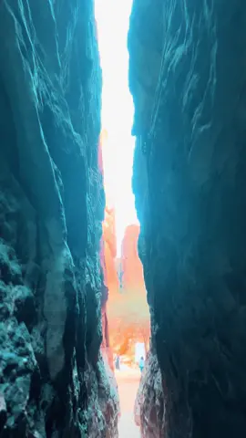 A nature-infused cafe experience ☕️          #Hiddencafe #ShalalCafe #AlUla #SaudiArabia