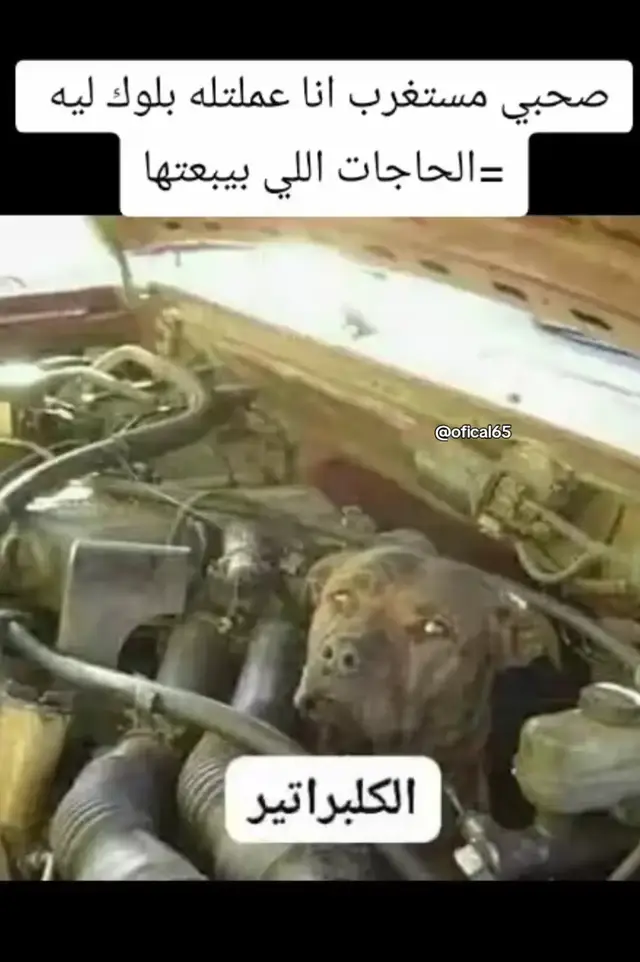 #fyp #foryou #foryoupage #viral #viralvideo 