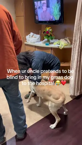 Man’s best friend ❤️@I Can’t Even (Via:Courtneystodola/ig)