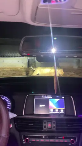 #تيوتا_شعار_لايعرف_القانون🔥🖤💪 #الزاوية_العنقاء_ليبيا🇱🇾 #الشعب_الصيني_ماله_حل😂😂 