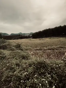 我在沙滩上画下我的爱,海浪不小心践踏了我的心。