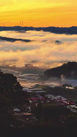 Đã bao lâu bạn chưa đi Đà Lạt ? #dalatcham  #miendumuc