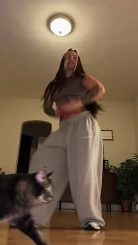 Just trying to make a tik tok but my cat wants to be famous this the 100th time he’s gone in front of the camera  #dance #dancetok #gwenstefani #catsoftiktok 