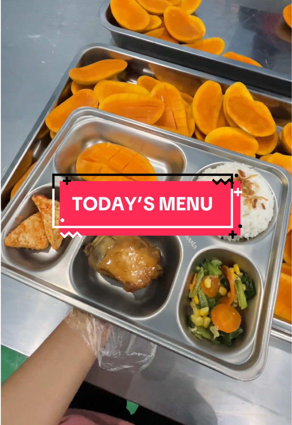 #badangizinasional #makanbergizigratis #MBG #prabowo #fyp 