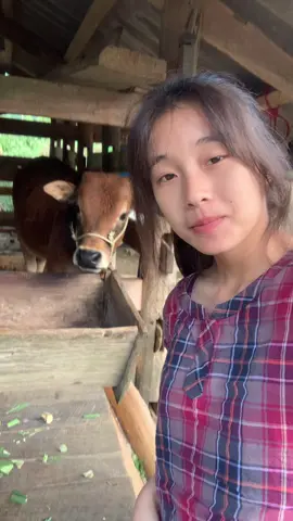 Đợi em lớn #xuhuong #XuanNKT #TikTokLive 