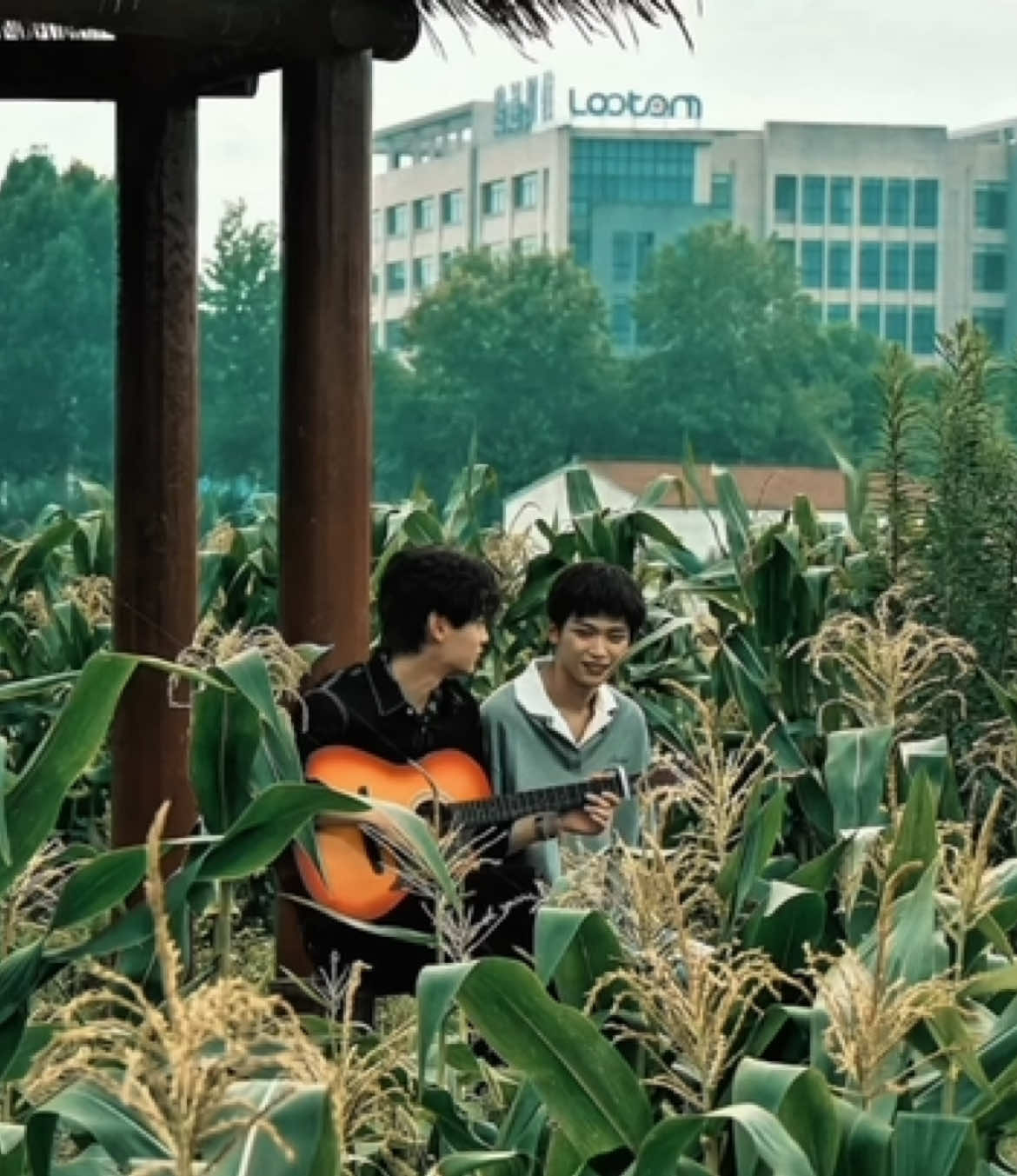 thank you ziyu, tian xuning, liu xuancheng, zhanxuan, director jiejie, shun ge, and entire team of revenged love for your hardwork on this project! through the bts footage i’ve come to see how much effort everyone put into this despite the limited budget, the fear of being banned, or even the possibility of not airing at all. rest reassured, the series blew up just fine and i will continue to support you from here on 🥹💖 #revengedlove #ziyu #tianxuning #liuxuancheng #zhanxuan 