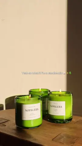 Our candles hold the warmth of México. Rich, grounded, and made with love. ✨🕯️🌵  #Nopalera #Candleholic #modernmexicanbeauty #candletok #mexico 