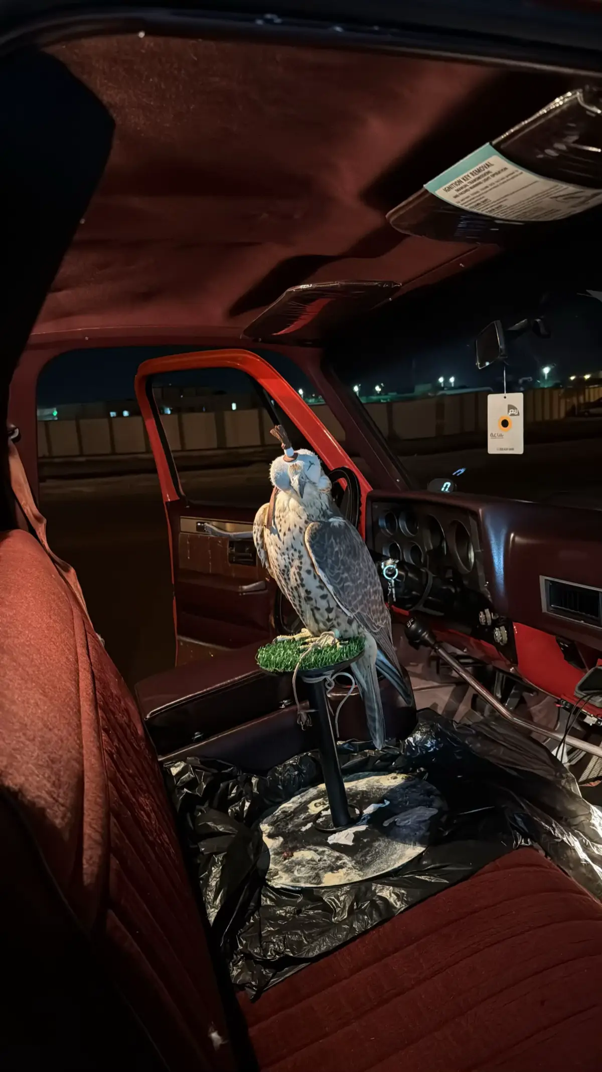 #تصويري📷 #fyp #B 