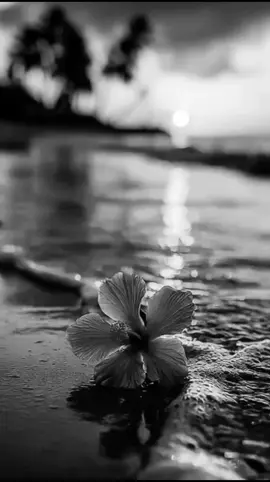 كل تجربة في حياتك كانت رسالة  #اقتباسات  #اقتباسات_عبارات_خواطر  #حكم #عبارات_جميلة_وقويه😉🖤 