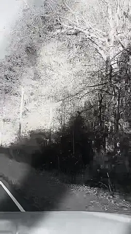 Hey yall go follow @whiskeycircuit This song is absolutely amazing! #country #music #fyp #tiktok #healing 