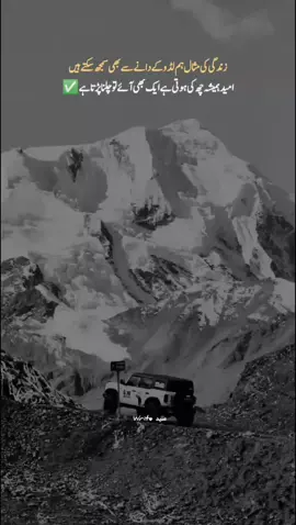 Black attitude status  Clip # 107 #viral #landcruiser #blackstatus #snakesoftiktok #foryoupage❤️❤️ 