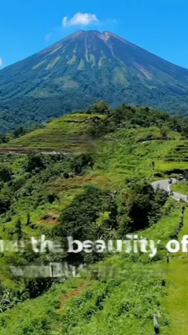 #bintanglawu_official  #ayodolanbareng  #ayofypbareng  #bintanglawuojekonline #semogaterinspirasi 