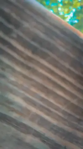 #LIVEIncentiveProgram #LIVECareer #PaidPartnership 