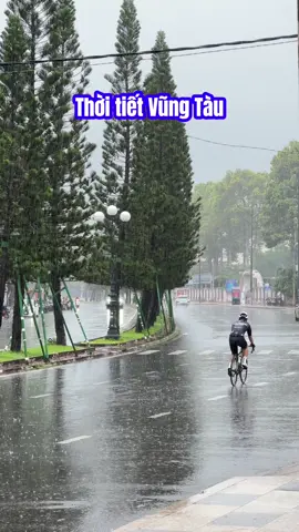 Một sáng mưa to trắng trời #thoitietvungtau #bienvungtau #mua #vungtau #bienbaisau 