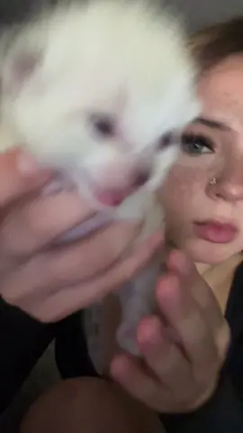 obedient pocket 😼