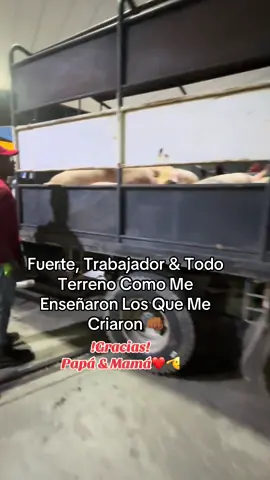 #LIVEIncentiveProgram #LIVEwithlowfollowers #PaidPartnership 