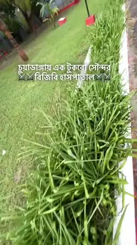 #foryou #bgbwife😍😍 #চুয়াডাঙ্গার_মেয়ে🥰🥀 #unfrezzmyaccount 