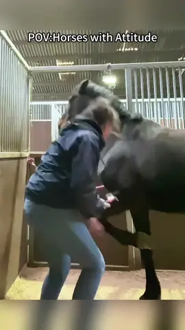 This horse sure has attitude! #horse #pet #funnyvideos #foryou #fyp 